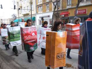 2013.02.09. Farsangi felvonulás 047.JPG 2013.02.09. Farsangi felvonulás 047.JPG